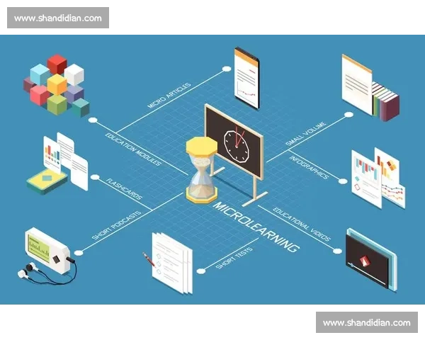 以市场真实反馈驱动产品优化与商业决策持续增长路径创新升级研究