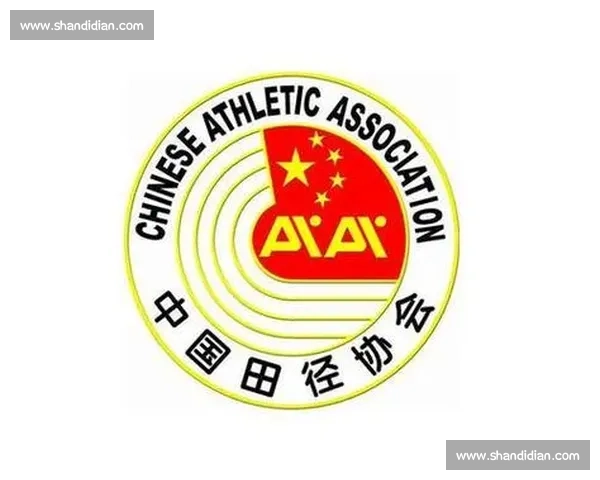 全面提升大型体育赛事安全保障与风险防控实施方案研究五大体系构建