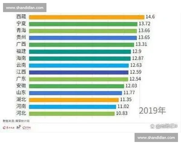 体育职业发展路径探析与未来趋势展望